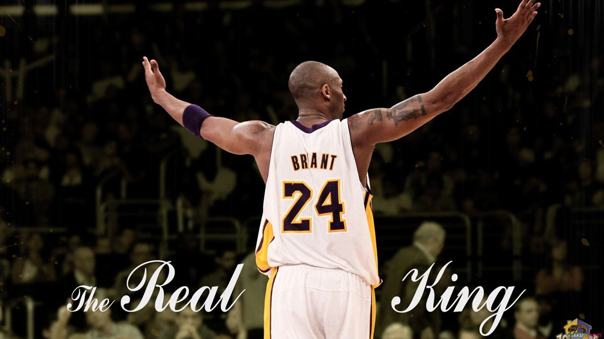 断层式横扫，波兰队的红白风暴与樊振东的个人英雄主义