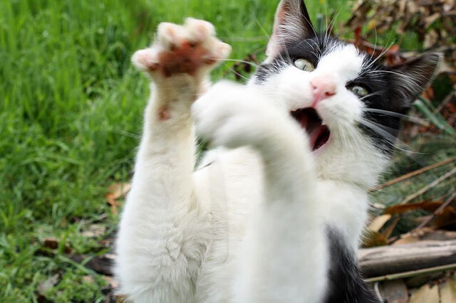 绝杀时刻，当德甲争冠战遇见NBA的终极心跳