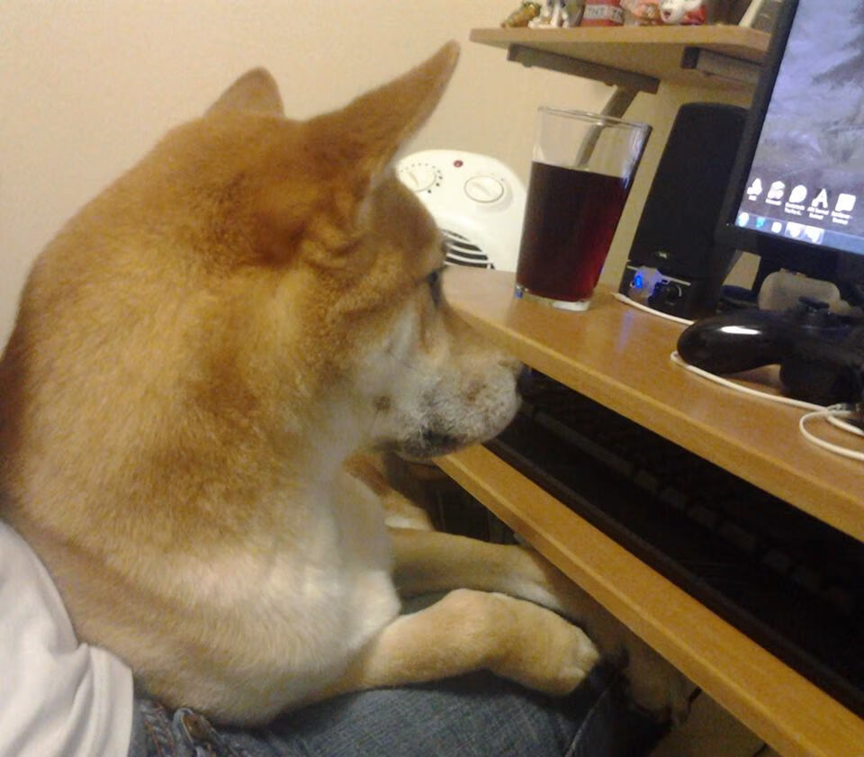 克罗地亚铁骑席卷安菲尔德，迪马利亚魔幻舞步点亮欧冠之夜