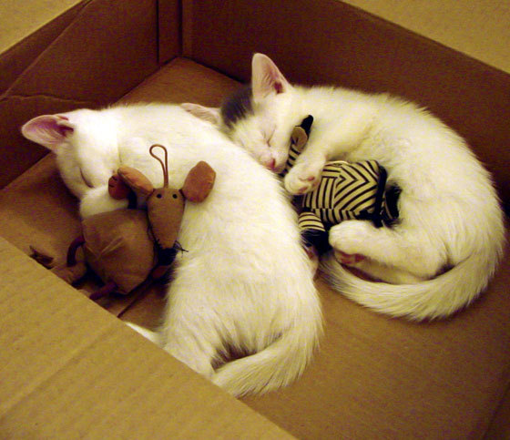 唯一，当进攻之矛成为防守之盾