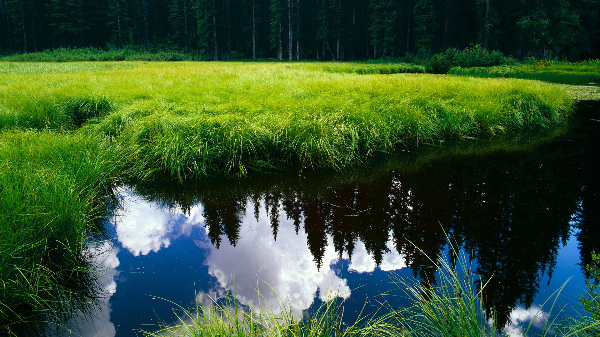 铁马冰河入梦来，西亚卡姆用冲锋姿态为广厦劈开胜利之路