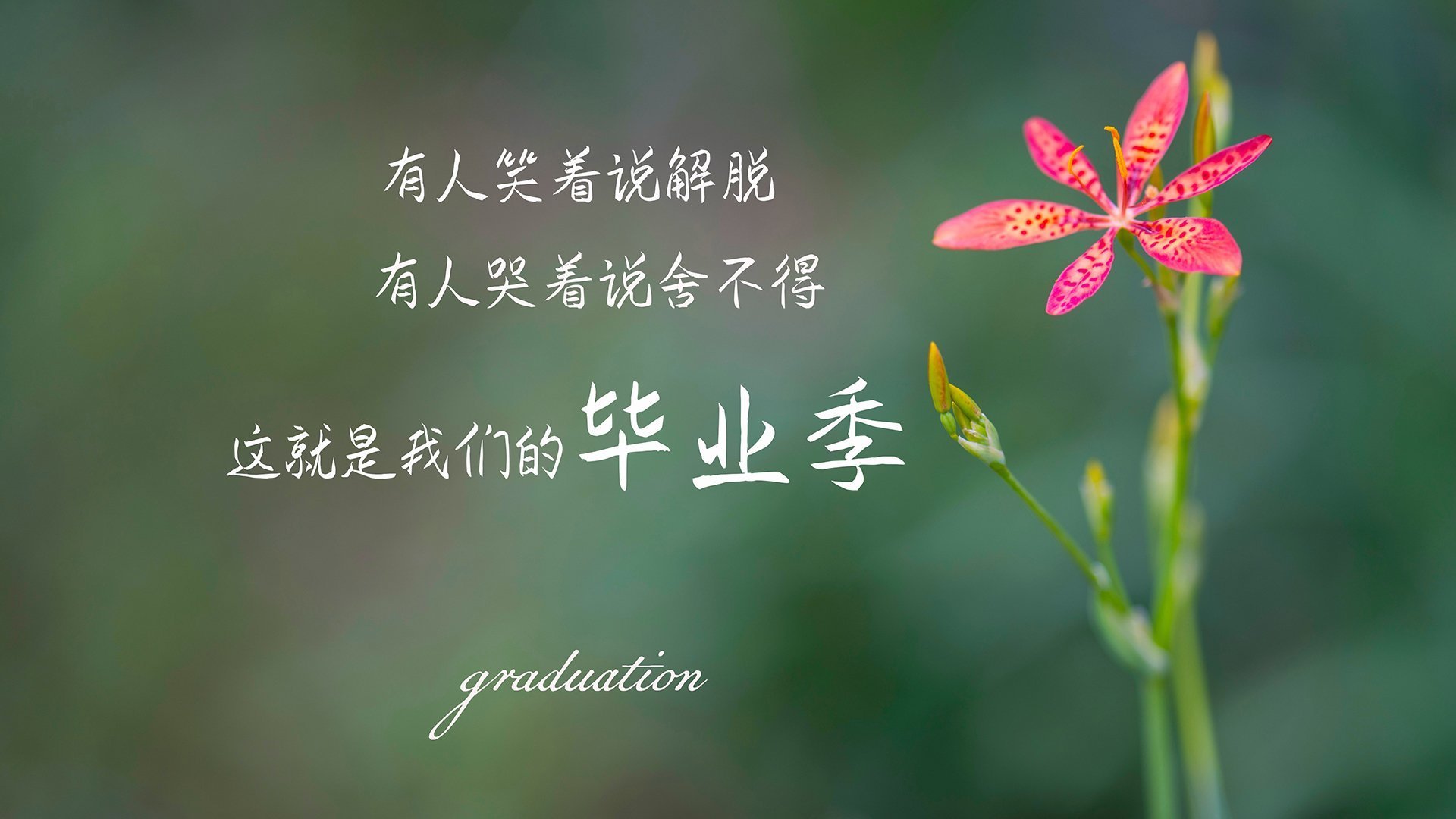 英超争冠夜,利拉德是唯一的解药