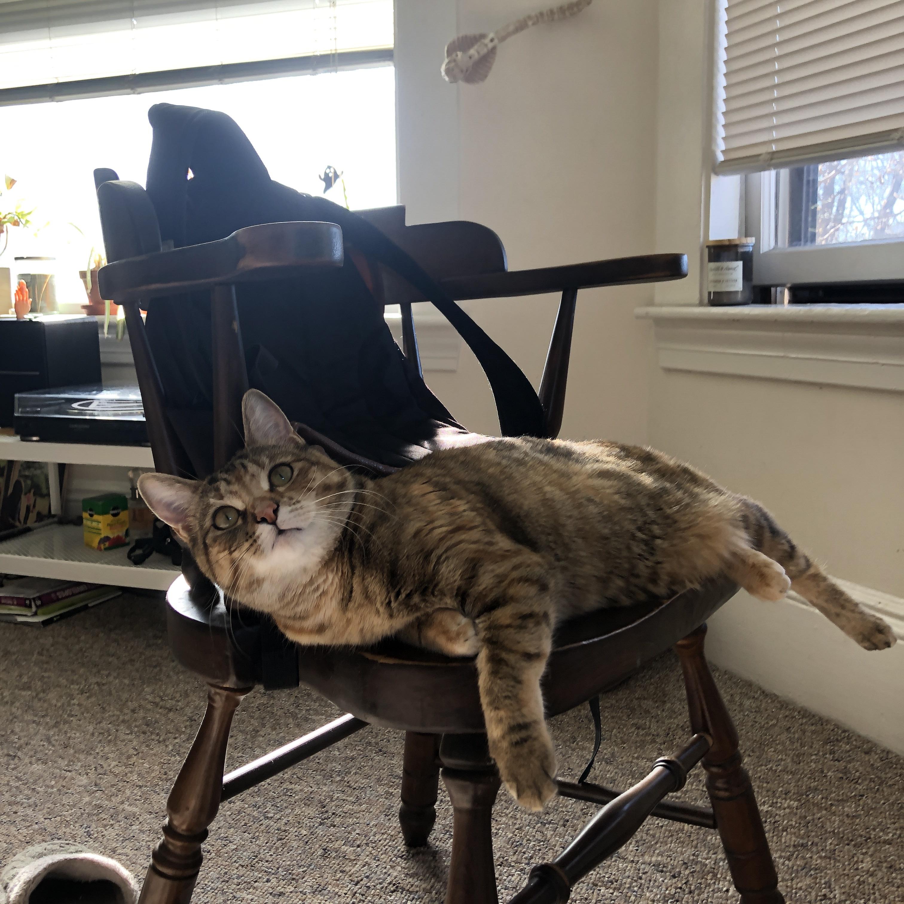 高台之上的冰雪与铁蹄，霍勒迪季后赛接管背后的战术共鸣