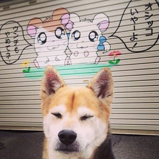 血战底特律!西亚卡姆站出成唯一巨星