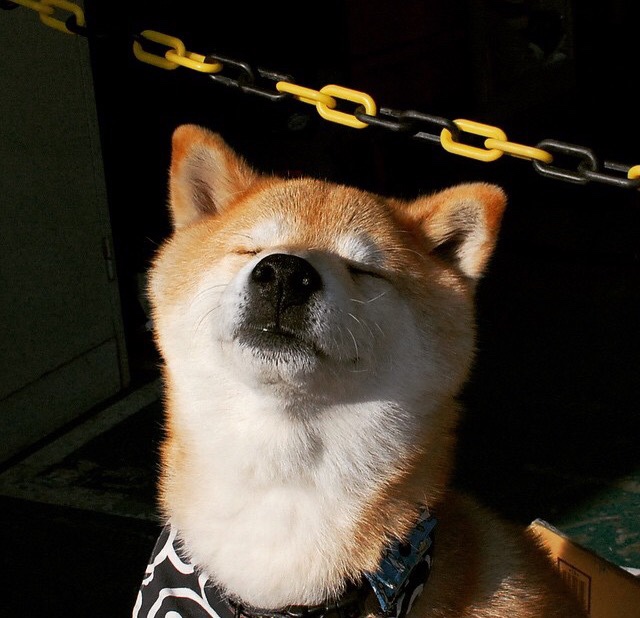 地缘政治的全场紧逼,当伊朗封锁遇上NBA的赖斯时刻