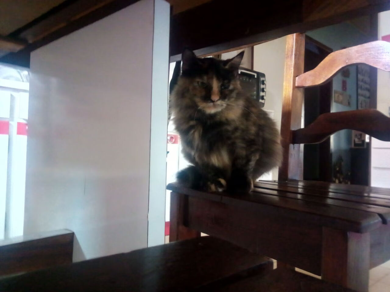 浙江铁壁锁链锁死掘金,惊魂17秒!克莱一剂救命汤价值连城