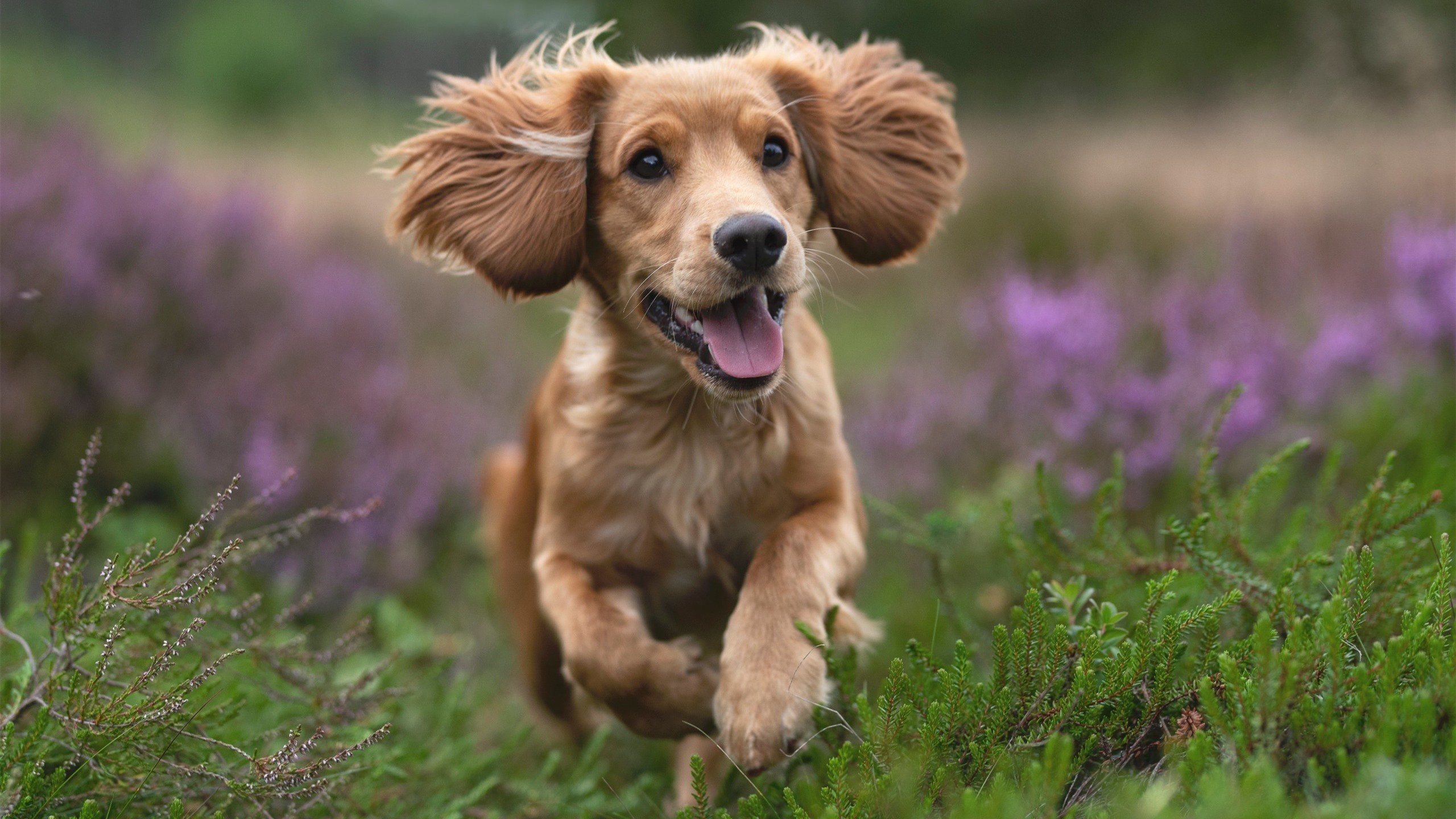 棋局对弈,浓眉利刃出鞘,开拓者铁血军团强势斩落山西