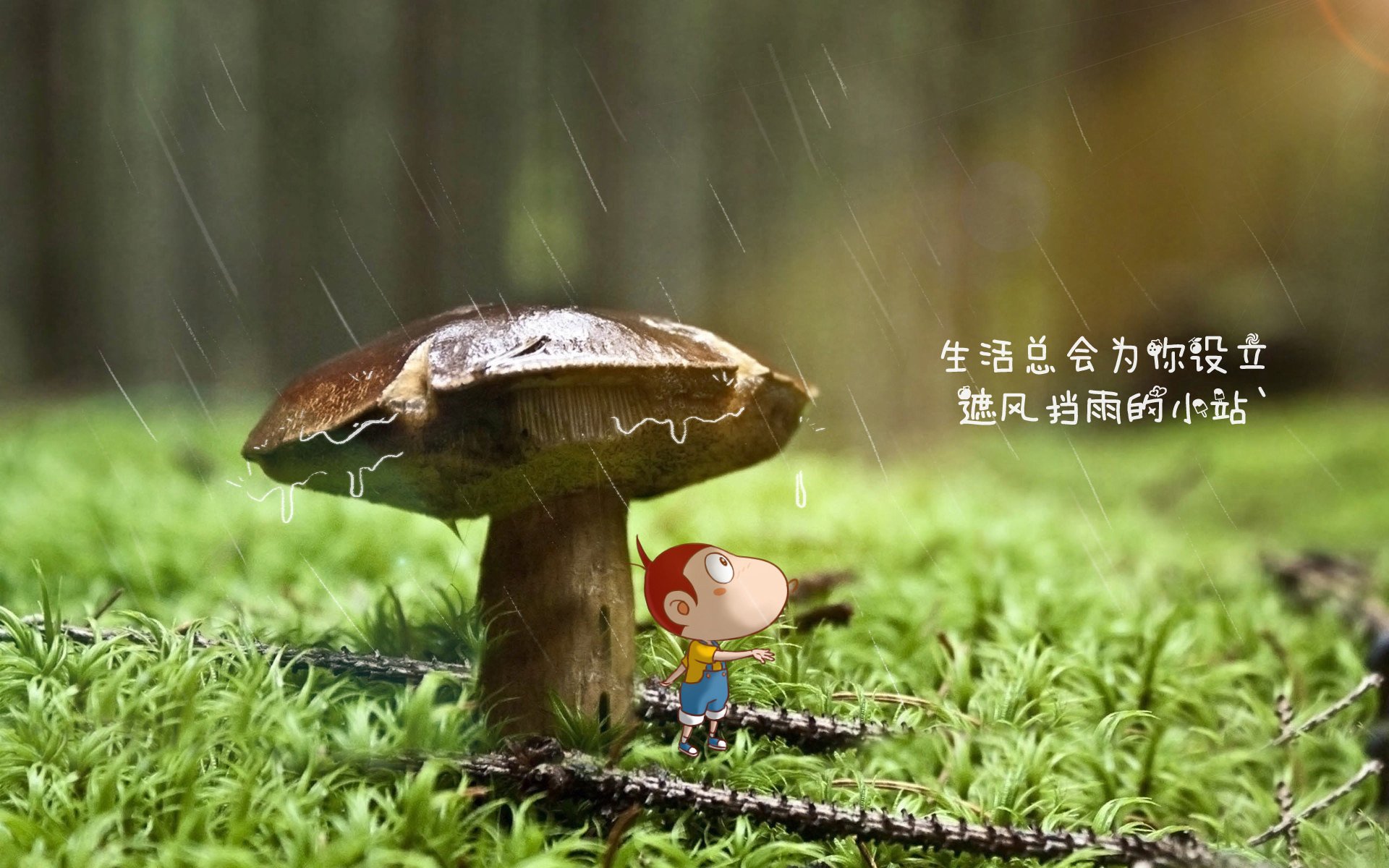 沙漠之狐与钟表匠的终极博弈,2026世界杯,奥斯梅恩用速度撕裂瑞士防线
