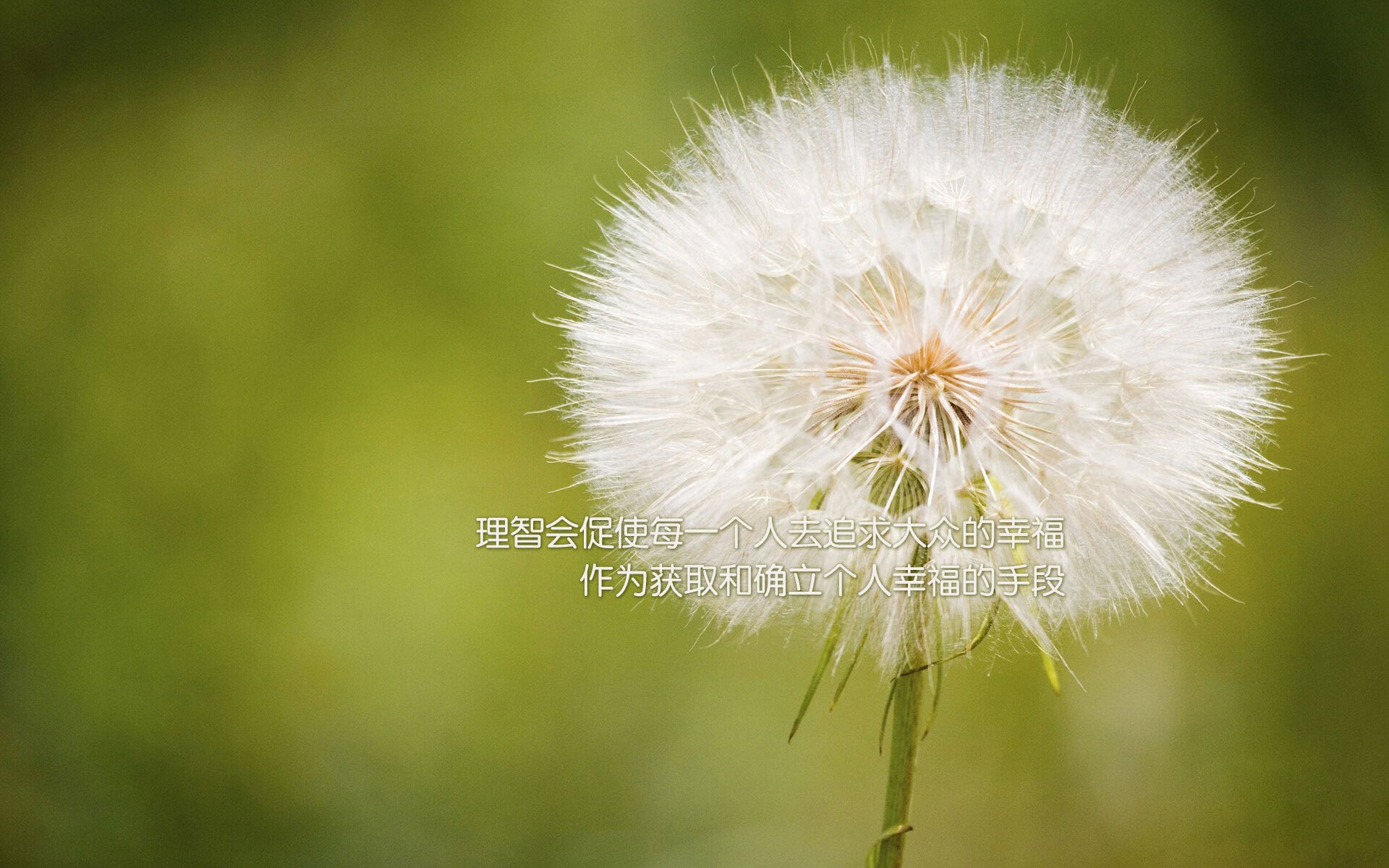 贝林厄姆的加冕之夜，2026世界杯C组焦点战，德国如何以一场横扫宣告新王降临