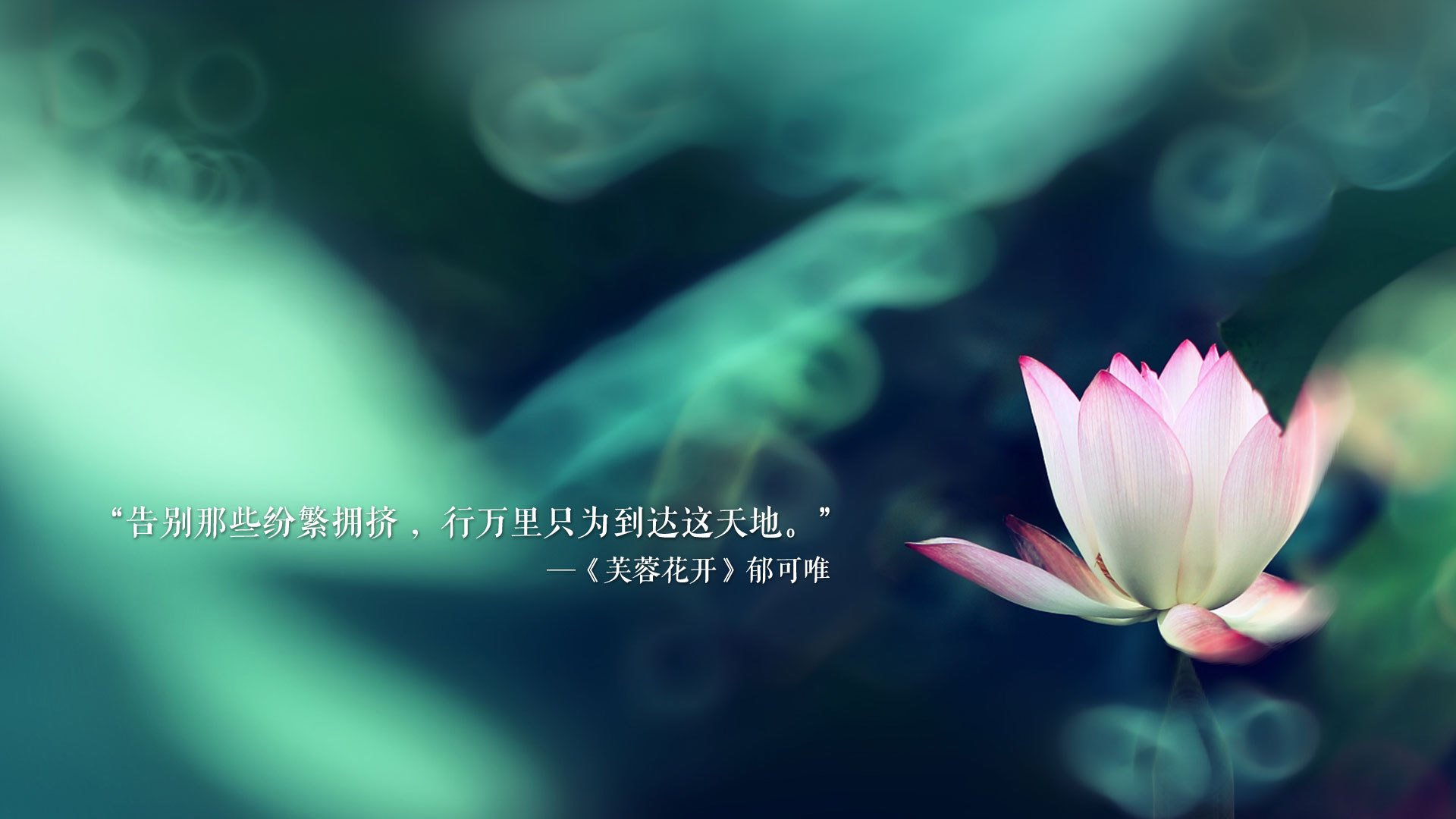 2026世界杯A组揭幕战,罗马尼亚碾压印度,德布劳内独造三球演绎孤胆英雄传奇